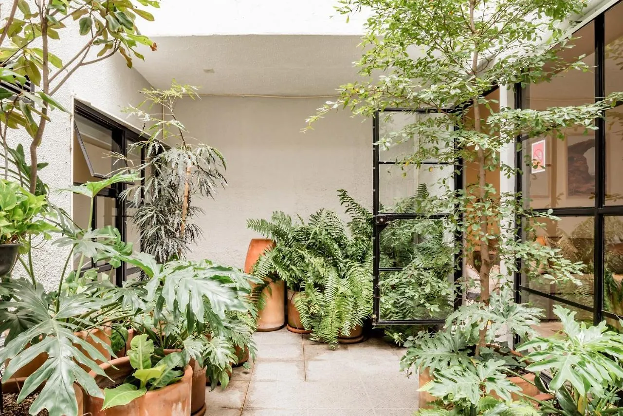 Casa Alexia Apartment Guadalajara