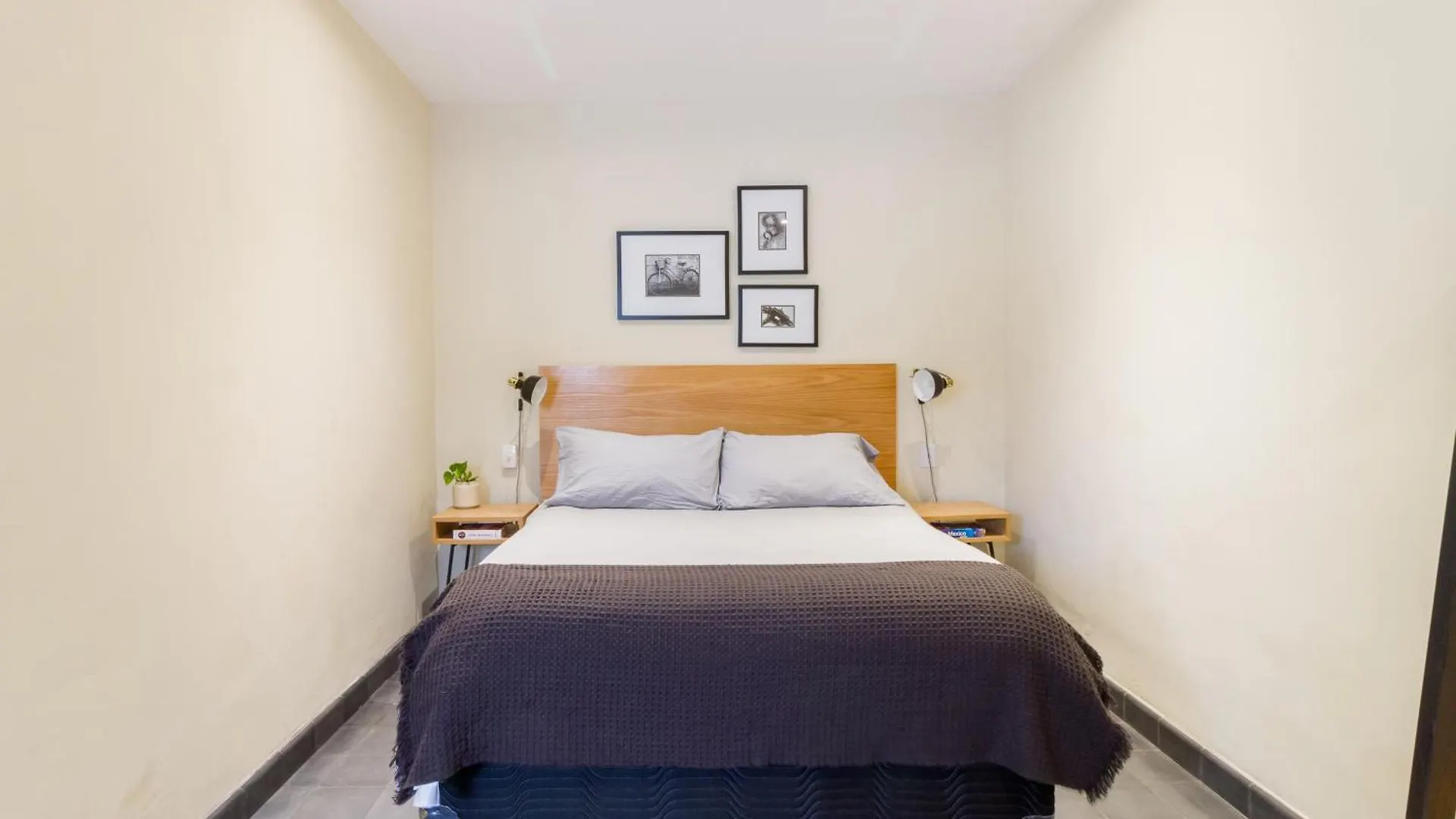 Casa Alexia Apartment Guadalajara