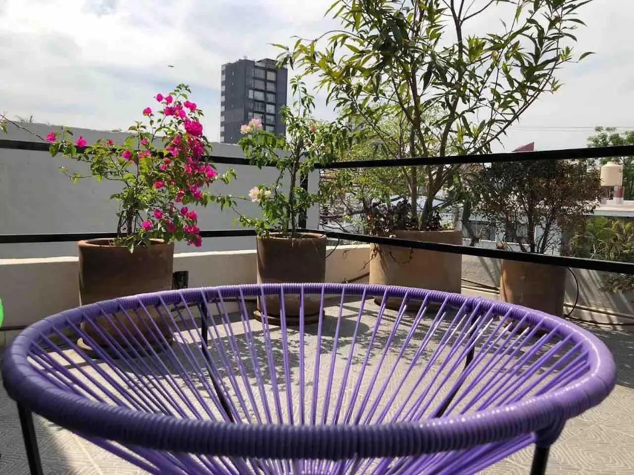 과달라하라 Casa Alexia 아파트 0*,